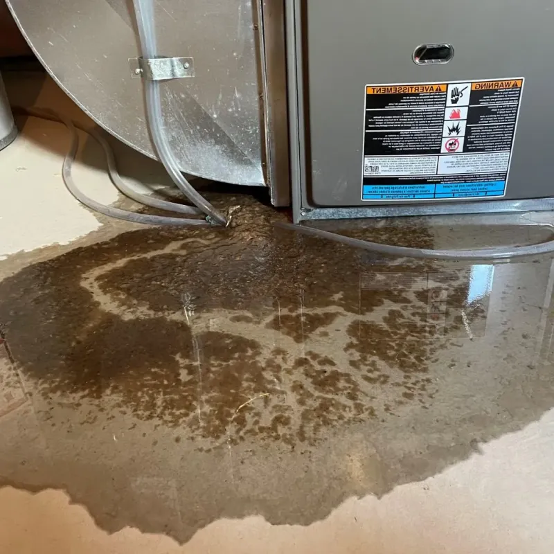 Pipe Burst and Leak Restoration in Winthrop, ME