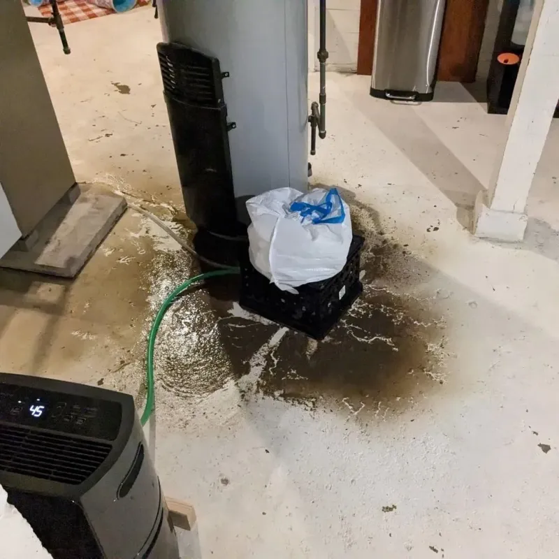 Sewage Backup Cleanup Service in Winthrop, ME